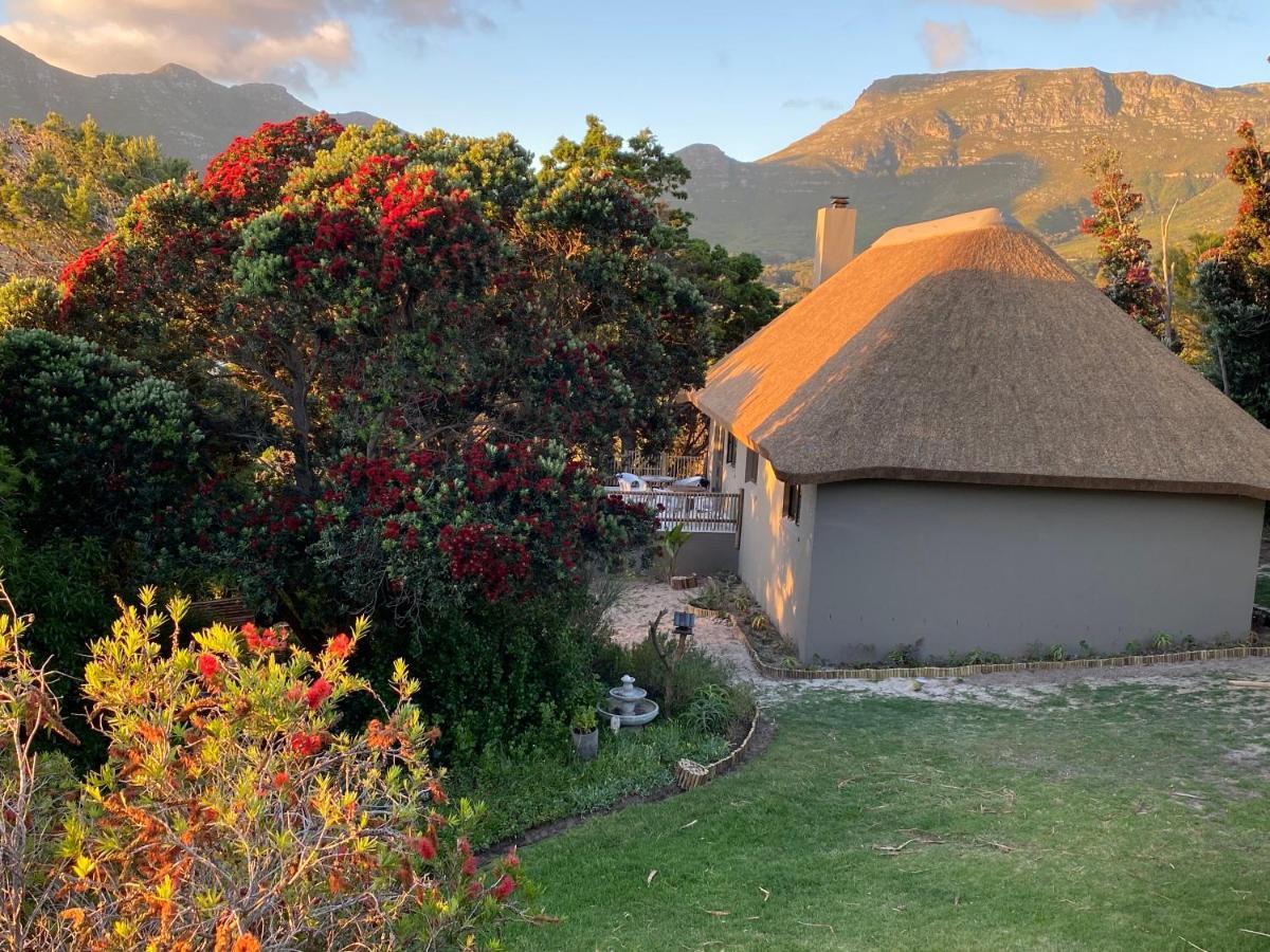Alojamento de Turismo Selvagem Wild Rose Country *
